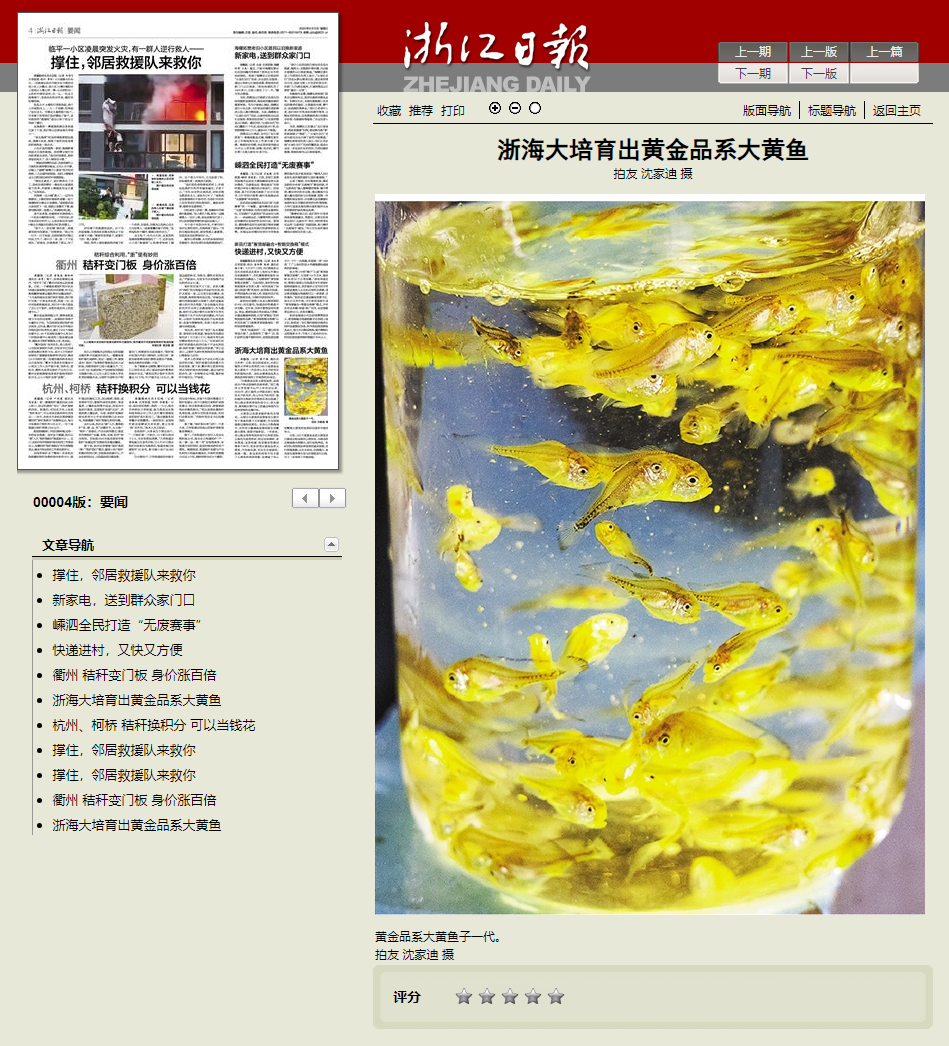 2024年6月5日 浙江日报 浙海大培育出黄金品系大黄鱼 (2).png
